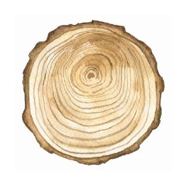 Legno