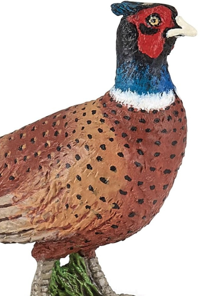 Fagiano - Papo - Art. 50263