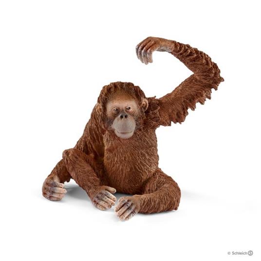 Orangotango Femmina - Schleich - Art. 14775