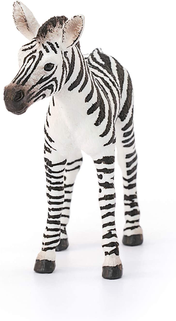 Puledro di Zebra - Schleich - Art. 14811