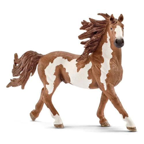 Stallone Pinto - Schleich - Art. 13794