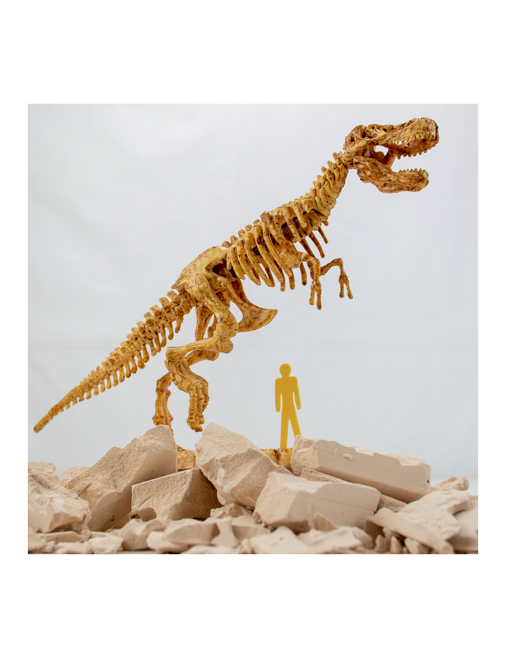 Dinosauro T-Rex da scavare - Scienze4you - Art. S4Y105