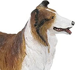 Border Collie - Papo - Art. 30230