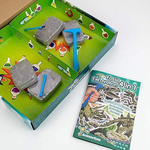 Dinosauri da scavare - Scienze4you - Art. S4Y104