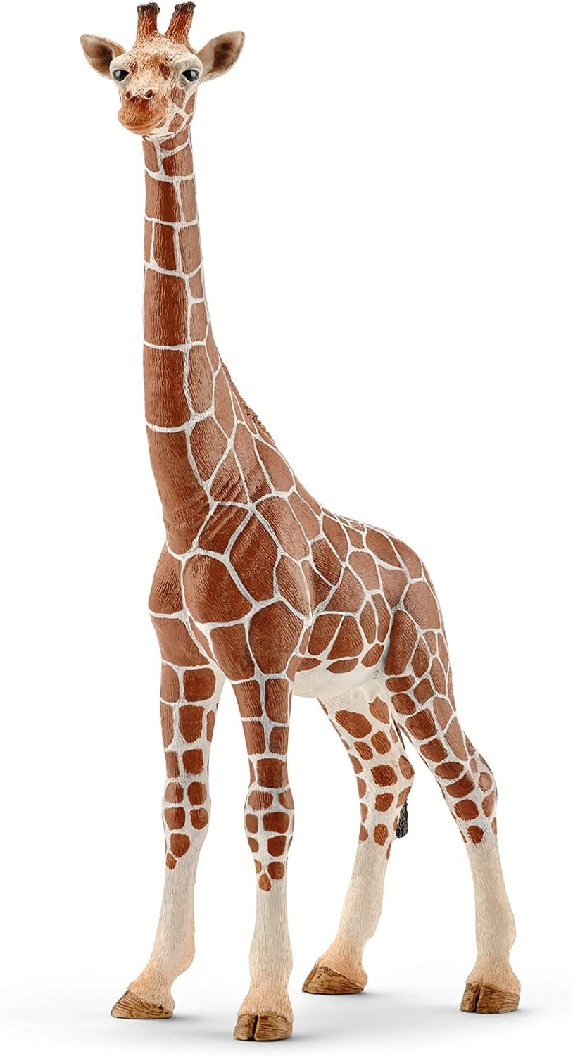 Giraffa Femmina - Schleich - Art. 14750