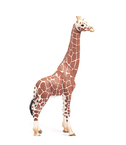 Giraffa Femmina - Schleich - Art. 14750