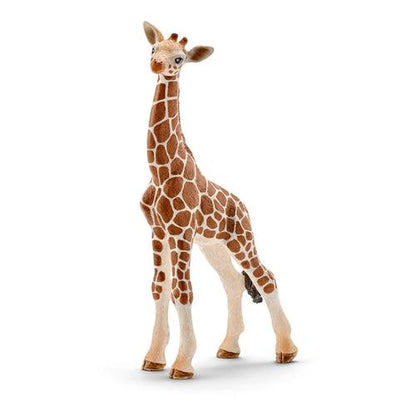 Cucciolo di Giraffa - Schleich - Art. 14751