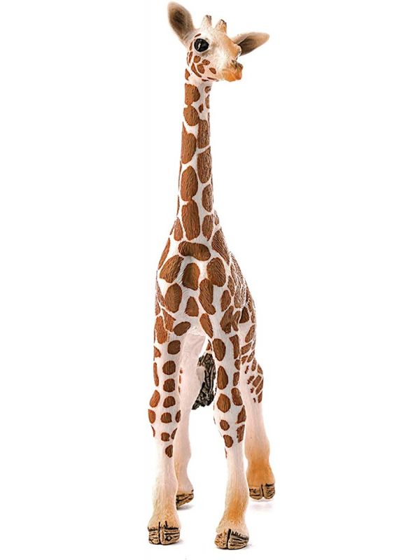 Cucciolo di Giraffa - Schleich - Art. 14751