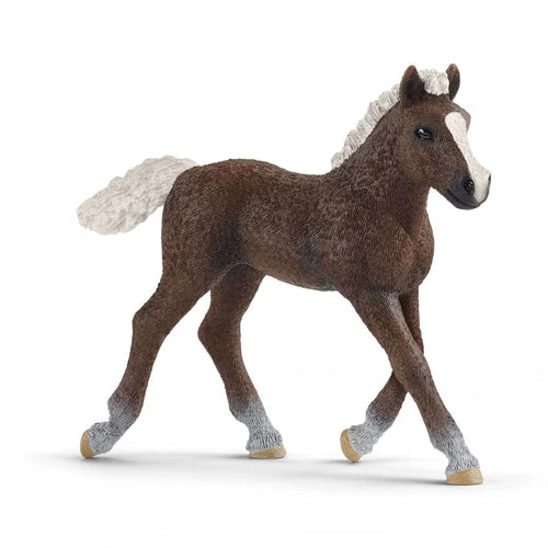 Puledro della Foresta Nera - Schleich - Art. 13899