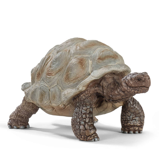 Tartaruga Gigante - Schleich - Art. 14824