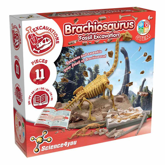 Dinosauro Brachiosauro da scavare - Scienze4you - Art. S4Y108